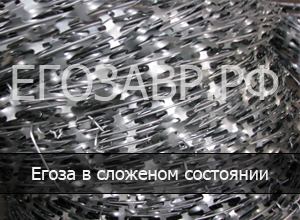 АКЛ СББ Егоза на заборе