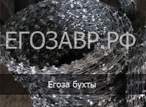 АКЛ СББ Егоза на заборе