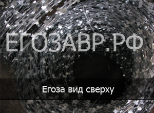 АКЛ СББ Егоза на заборе